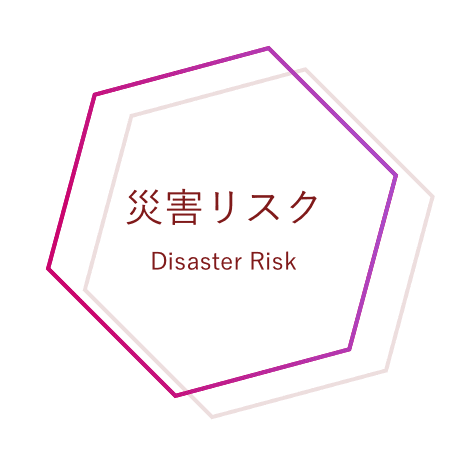 災害リスク Disaster Risk